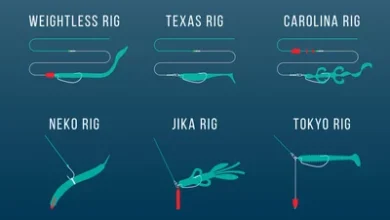 texas rig