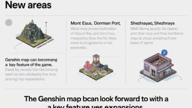 Genshin map